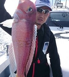 海龍丸（福岡） 釣果