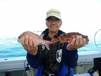 おおせき丸 釣果