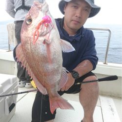 マタウマリンサービス 釣果