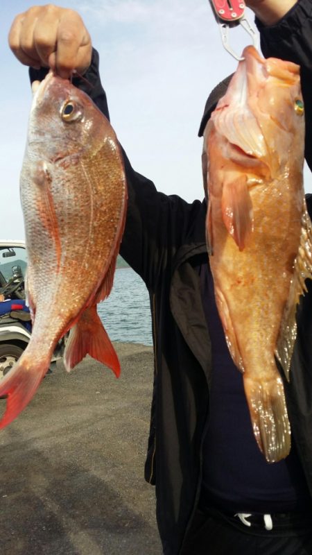 オーフリー 釣果