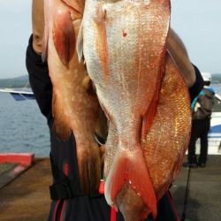 オーフリー 釣果