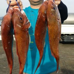 オーフリー 釣果