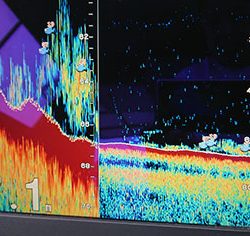 松本釣船２ 釣果