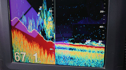 松本釣船２ 釣果