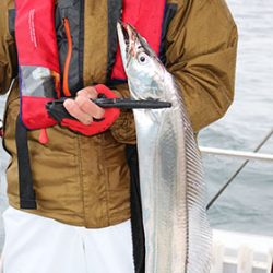 松本釣船２ 釣果