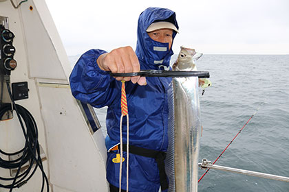 松本釣船２ 釣果