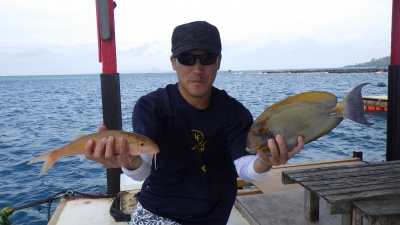 本部釣りイカダ 釣果