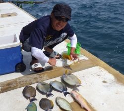 本部釣りイカダ 釣果