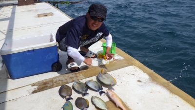 本部釣りイカダ 釣果
