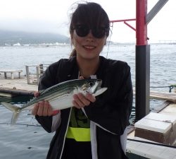 本部釣りイカダ 釣果