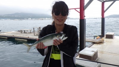 本部釣りイカダ 釣果