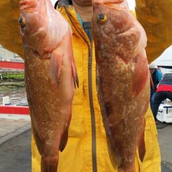 オーフリー 釣果