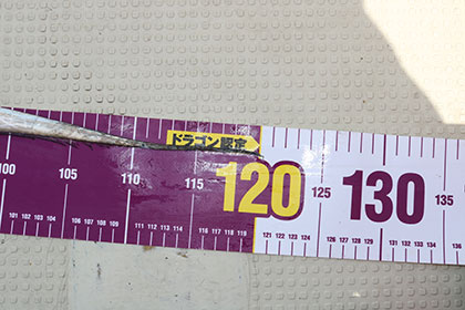 松本釣船2 釣果