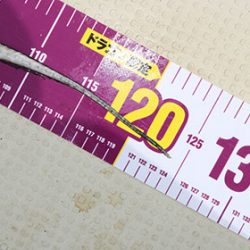 松本釣船2 釣果