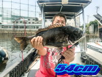 オーシャンマスター 釣果