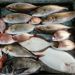 明神釣船 釣果