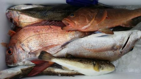 オーフリー 釣果