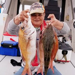 松本釣船２ 釣果