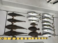 オーシャンマスター 釣果