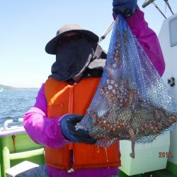 川崎丸 釣果