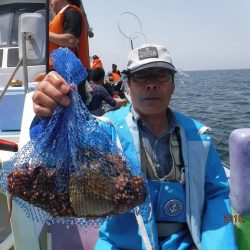 川崎丸 釣果