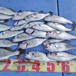 第二常豊丸 釣果