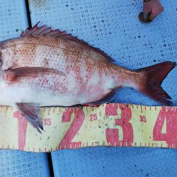 第二常豊丸 釣果