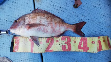 第二常豊丸 釣果