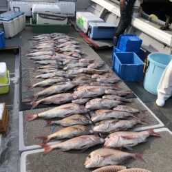 幸風（さちかぜ） 釣果