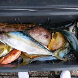 第二一之紀丸（ダイニイチノキマル） 釣果