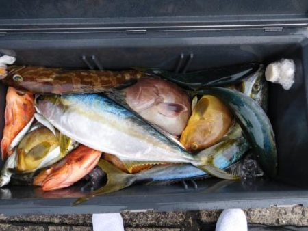 第二一之紀丸（ダイニイチノキマル） 釣果