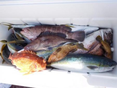 第二一之紀丸（ダイニイチノキマル） 釣果