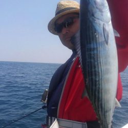 遊漁船 新鋭丸 釣果