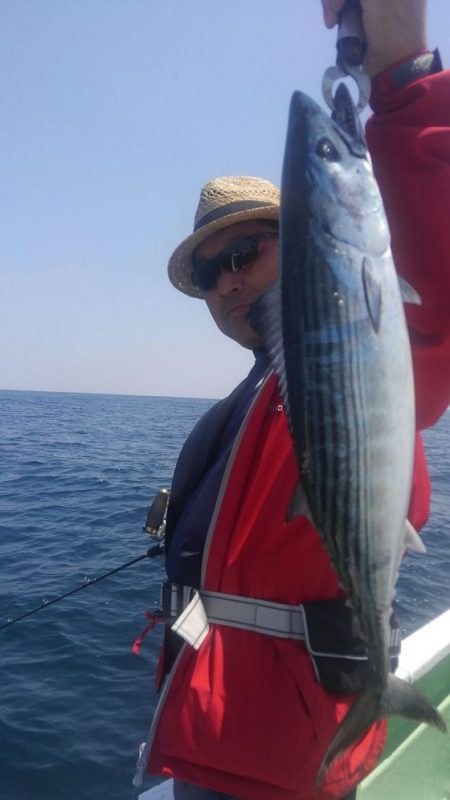 遊漁船 新鋭丸 釣果