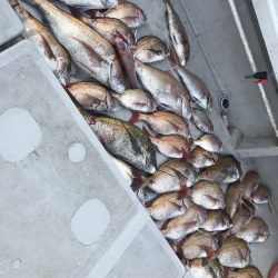 寿裕 （YOSHIHIRO） 釣果