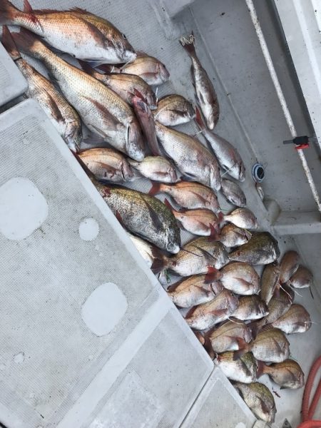 寿裕 （YOSHIHIRO） 釣果