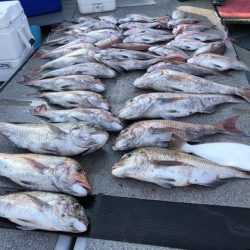 幸風（さちかぜ） 釣果
