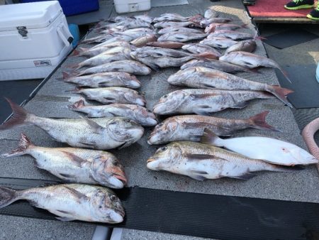幸風（さちかぜ） 釣果
