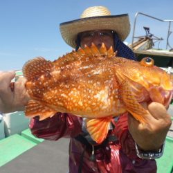 真祐丸 (しんゆうまる) 釣果