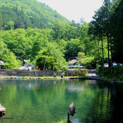 小菅トラウトガーデン 釣果