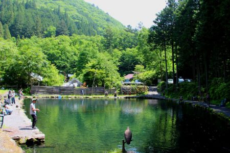 小菅トラウトガーデン 釣果