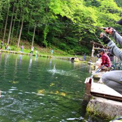 小菅トラウトガーデン 釣果