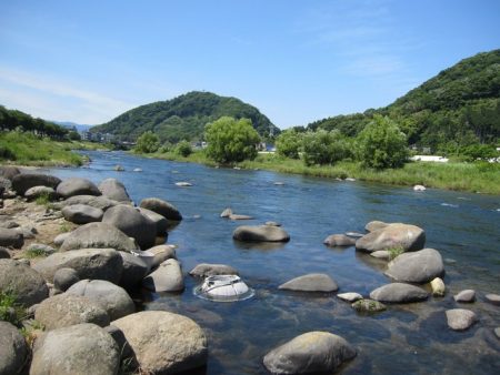 狩野川(狩野川漁業協同組合) 釣果