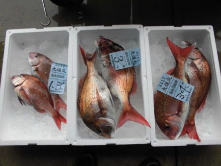 大進丸(新潟) 釣果