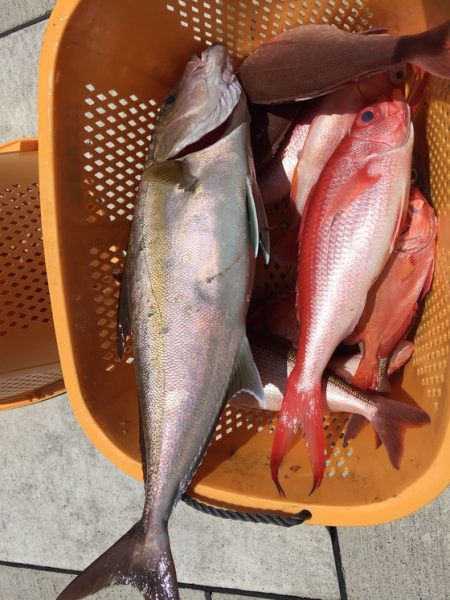 フィッシングハウス伊藤 釣果