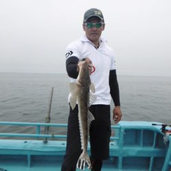 かもめ釣船 釣果