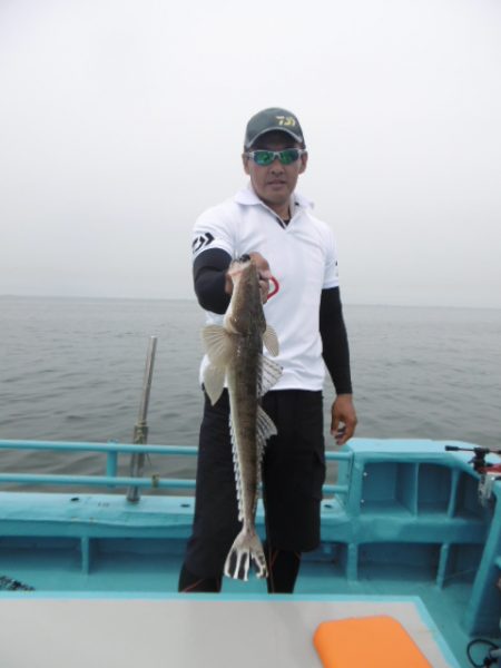 かもめ釣船 釣果