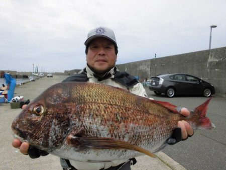 大進丸（新潟） 釣果