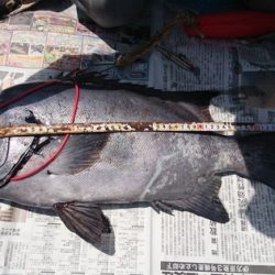 しば渡船 釣果