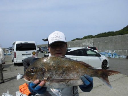 大進丸(新潟) 釣果